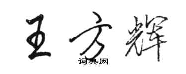 骆恒光王方辉行书个性签名怎么写