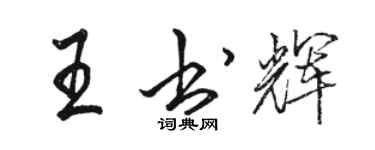 骆恒光王书辉行书个性签名怎么写