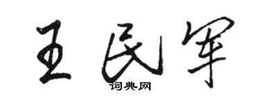 骆恒光王民军行书个性签名怎么写