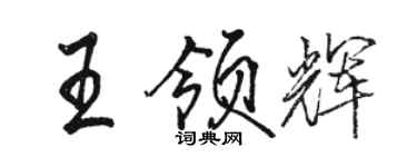 骆恒光王领辉行书个性签名怎么写