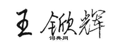 骆恒光王锨辉行书个性签名怎么写