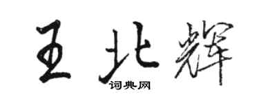 骆恒光王北辉行书个性签名怎么写