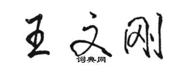 骆恒光王文刚行书个性签名怎么写