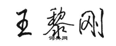 骆恒光王黎刚行书个性签名怎么写