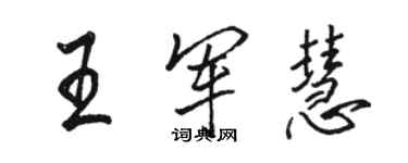 骆恒光王军慧行书个性签名怎么写