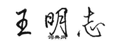 骆恒光王明志行书个性签名怎么写