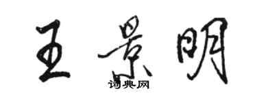 骆恒光王景明行书个性签名怎么写