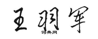 骆恒光王羽军行书个性签名怎么写