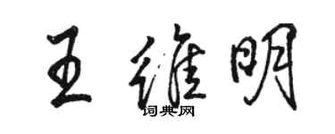 骆恒光王维明行书个性签名怎么写