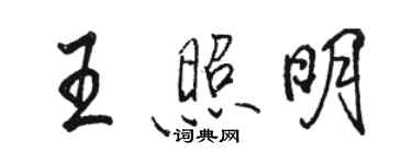 骆恒光王照明行书个性签名怎么写