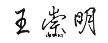 骆恒光王崇明行书个性签名怎么写