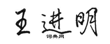 骆恒光王进明行书个性签名怎么写