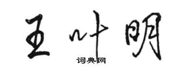 骆恒光王叶明行书个性签名怎么写