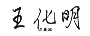 骆恒光王化明行书个性签名怎么写