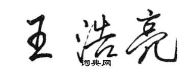 骆恒光王浩亮行书个性签名怎么写