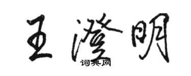 骆恒光王澄明行书个性签名怎么写