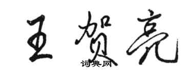 骆恒光王贺亮行书个性签名怎么写