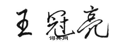 骆恒光王冠亮行书个性签名怎么写
