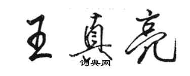 骆恒光王真亮行书个性签名怎么写