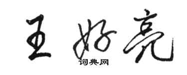 骆恒光王好亮行书个性签名怎么写