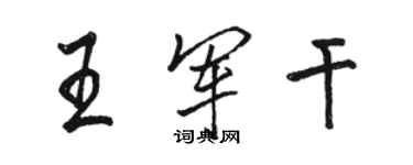 骆恒光王军干行书个性签名怎么写