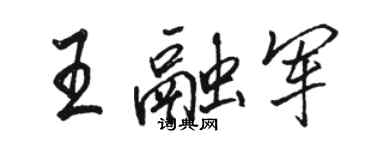 骆恒光王融军行书个性签名怎么写