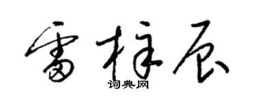 梁锦英雷梓辰草书个性签名怎么写