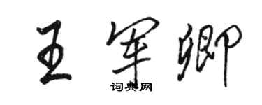 骆恒光王军卿行书个性签名怎么写
