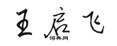 骆恒光王启飞行书个性签名怎么写