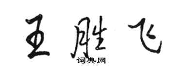 骆恒光王胜飞行书个性签名怎么写