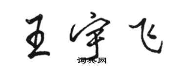 骆恒光王宇飞行书个性签名怎么写