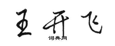 骆恒光王开飞行书个性签名怎么写