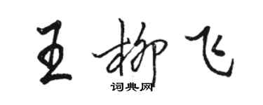 骆恒光王柳飞行书个性签名怎么写