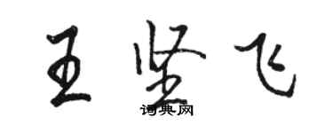 骆恒光王坚飞行书个性签名怎么写