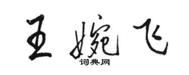 骆恒光王婉飞行书个性签名怎么写