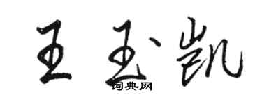 骆恒光王玉凯行书个性签名怎么写