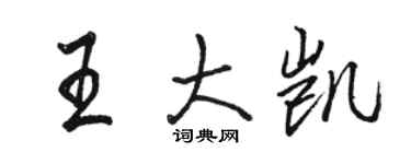 骆恒光王大凯行书个性签名怎么写