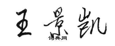 骆恒光王景凯行书个性签名怎么写