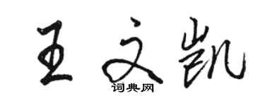 骆恒光王文凯行书个性签名怎么写