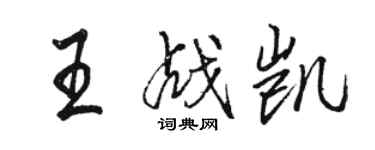 骆恒光王战凯行书个性签名怎么写