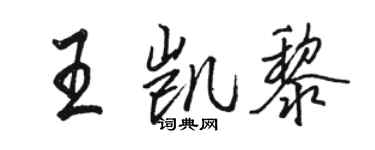 骆恒光王凯黎行书个性签名怎么写