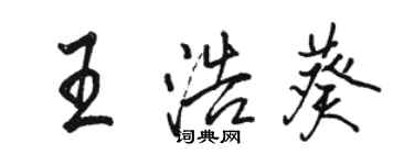 骆恒光王浩葵行书个性签名怎么写