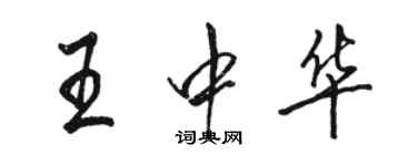 骆恒光王中华行书个性签名怎么写