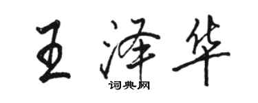 骆恒光王泽华行书个性签名怎么写