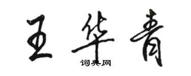 骆恒光王华青行书个性签名怎么写