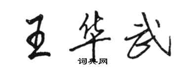 骆恒光王华武行书个性签名怎么写