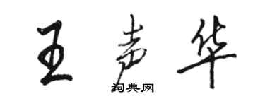 骆恒光王声华行书个性签名怎么写