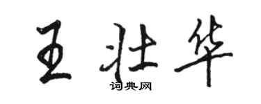骆恒光王壮华行书个性签名怎么写