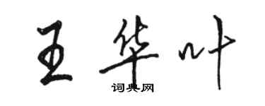 骆恒光王华叶行书个性签名怎么写
