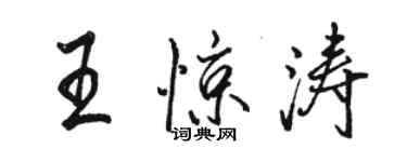 骆恒光王惊涛行书个性签名怎么写
